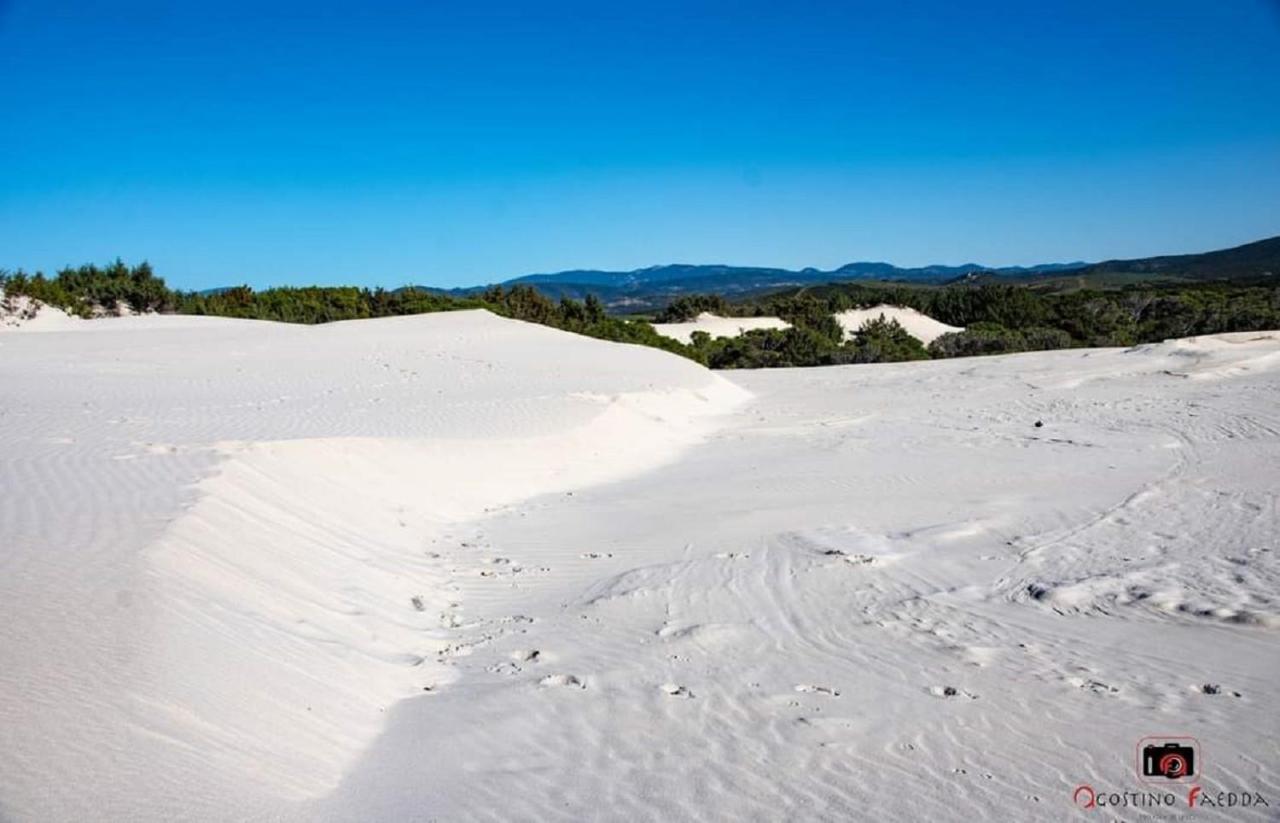 Casa Vacanza Le Dune Villa Sant'Anna Arresi Eksteriør billede